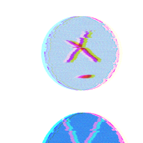 企划主