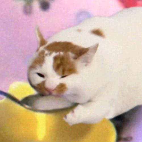 企划主