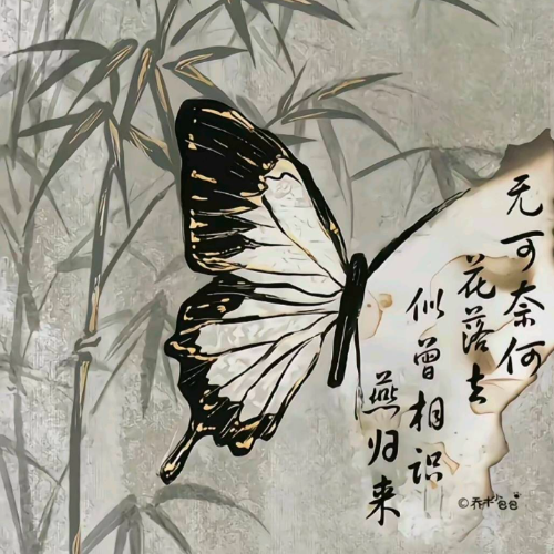企划主