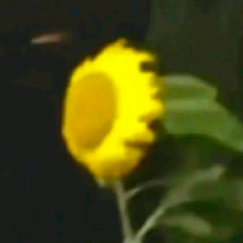 企划主
