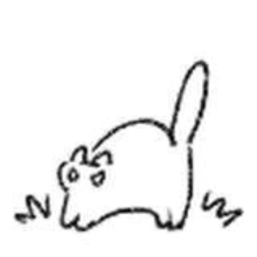 企划主