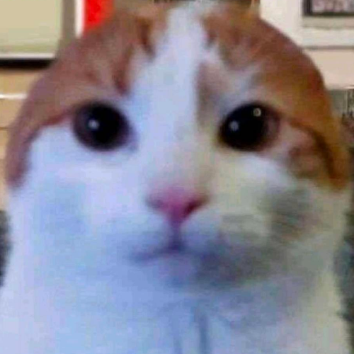 企划主