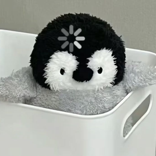 企划主