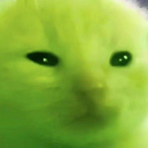 企划主