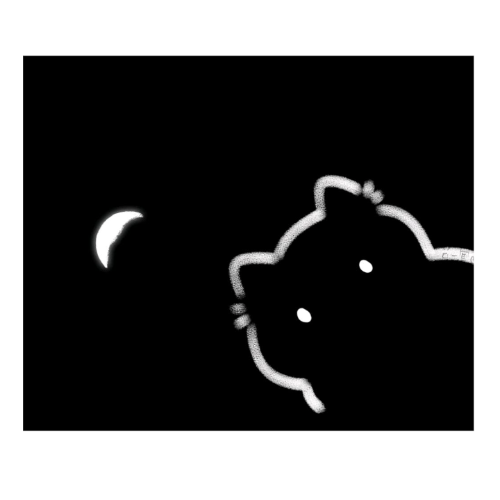 企划主