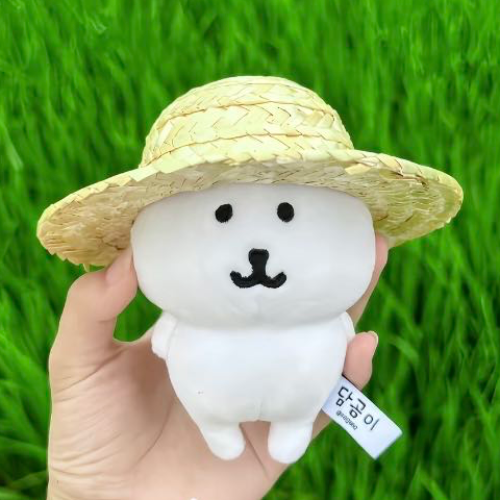 企划主