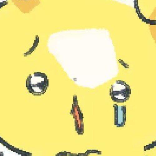 企划主