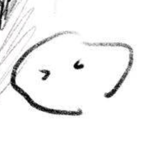 企划主