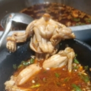 企划主