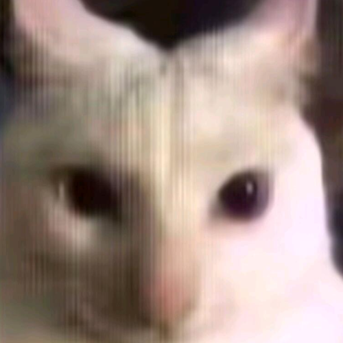 企划主