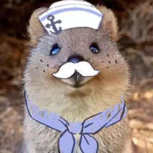 企划主