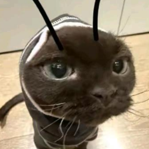 企划主