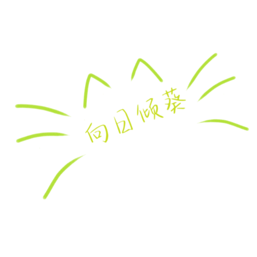 企划主