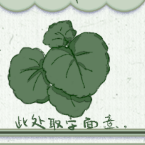 企划主
