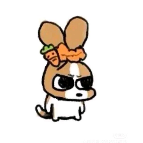 企划主
