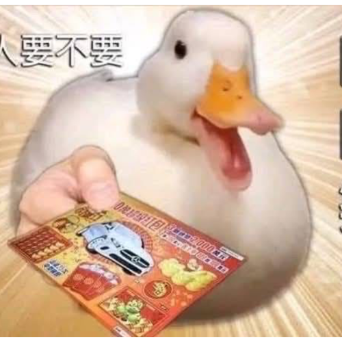 企划主