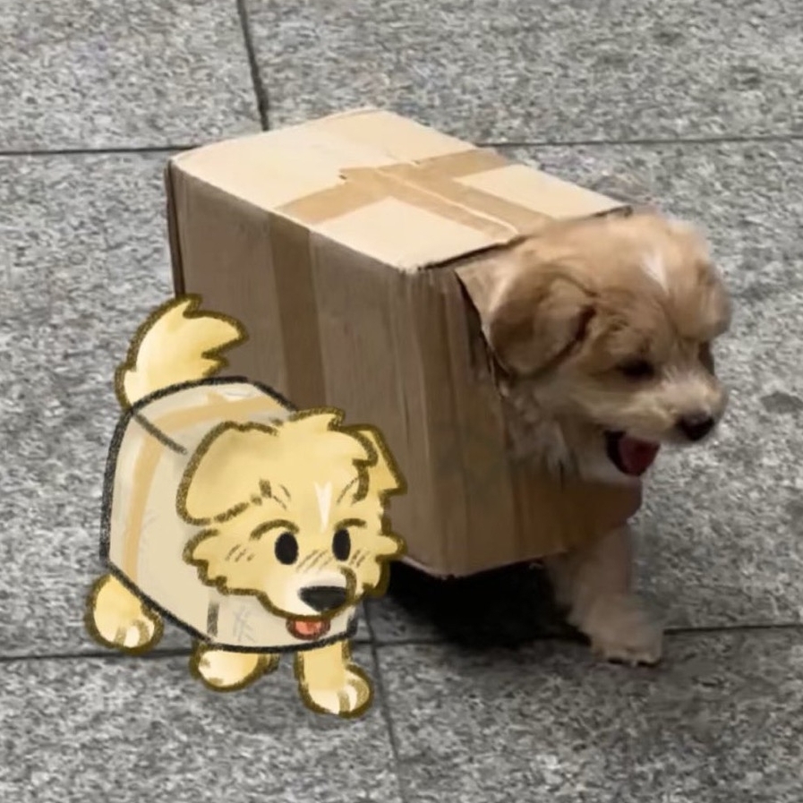 企划主
