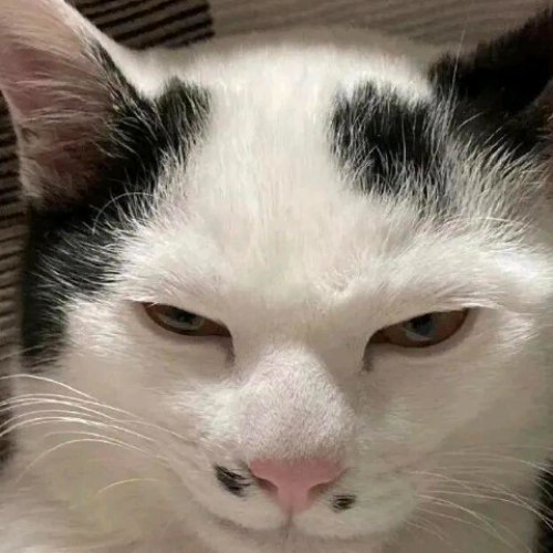 企划主