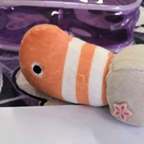企划主