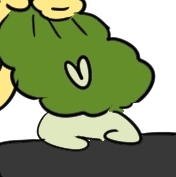 企划主