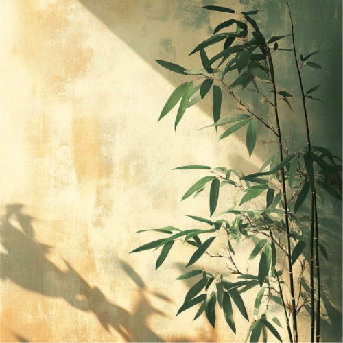 企划主