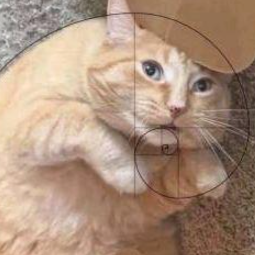 企划主