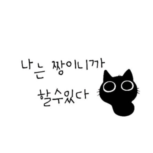 企划主