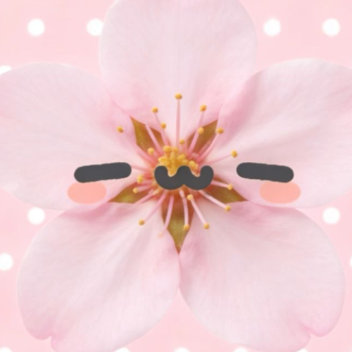 企划主