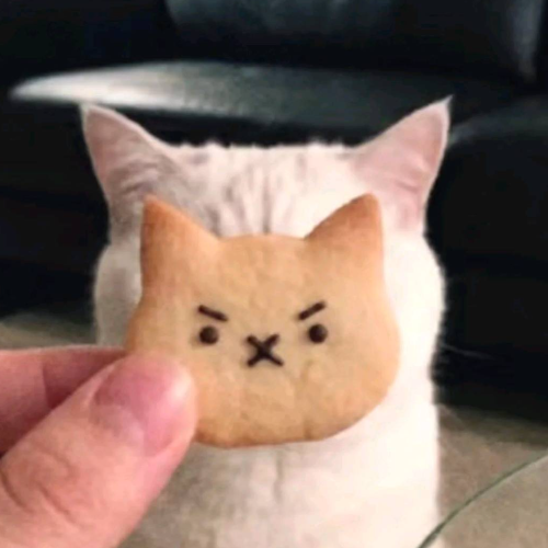 企划主