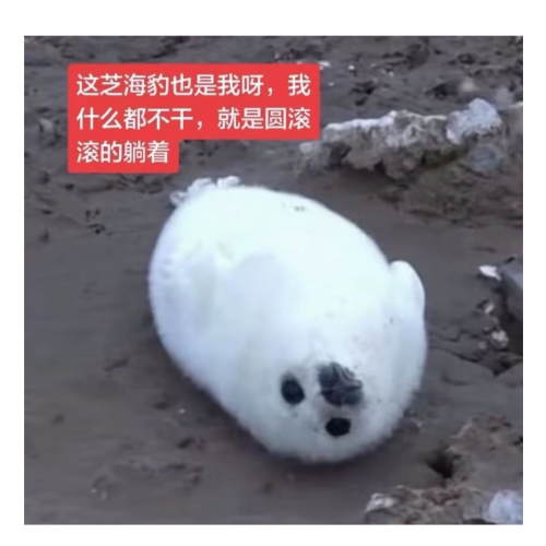 企划主