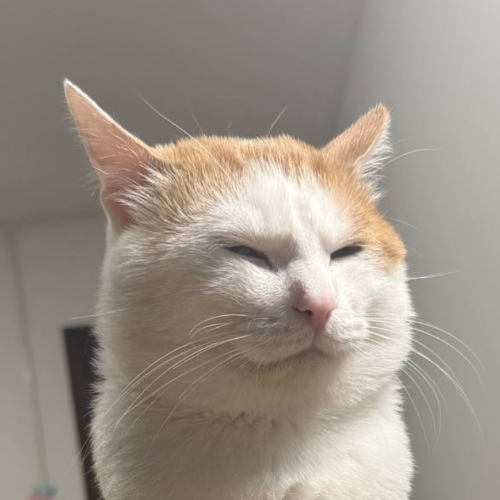 企划主