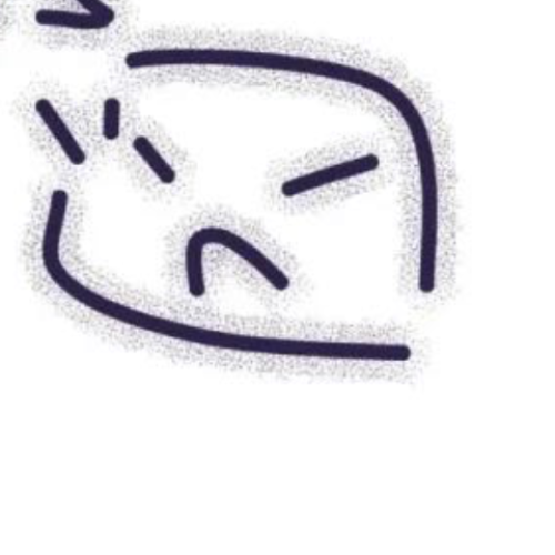 企划主